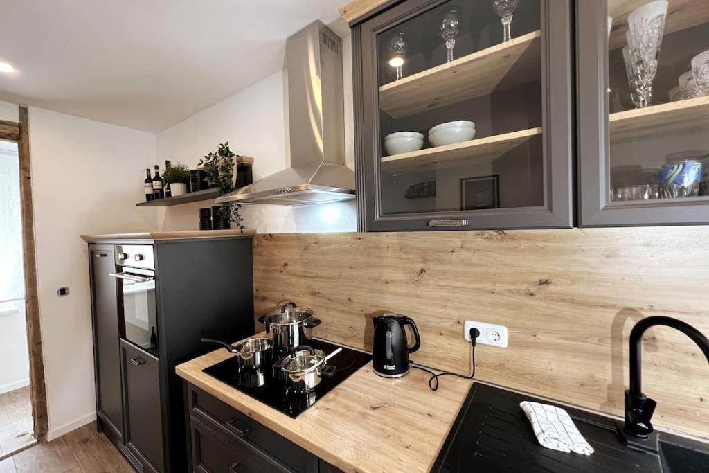 Ar Apartments III I 4 Pers I Modern I Schillerapartment Rudolstadt Bagian luar foto